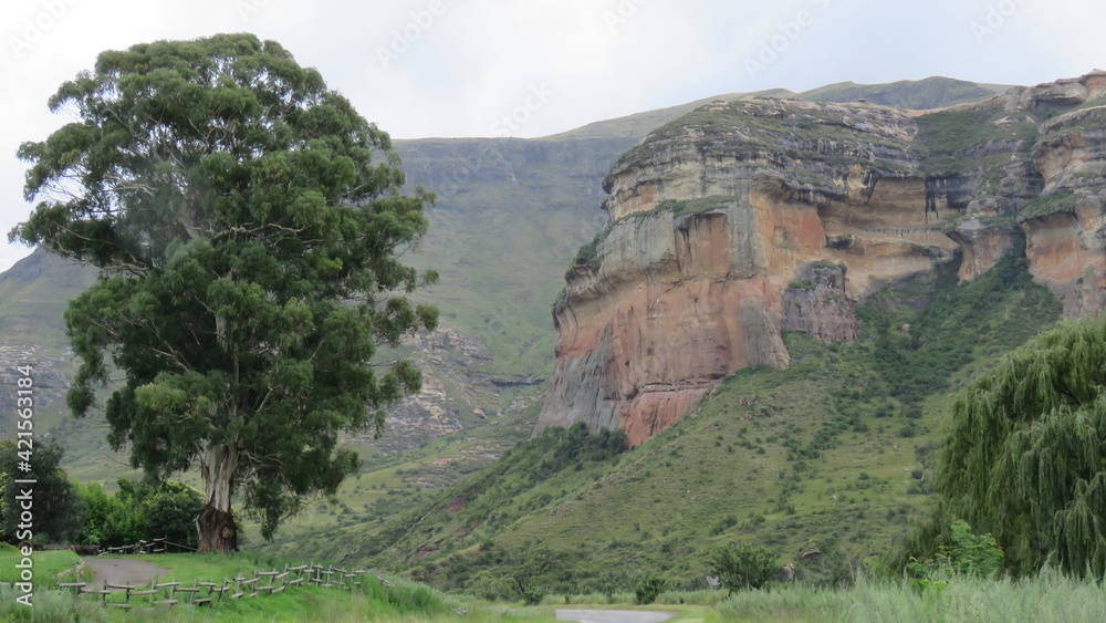 Obraz premium Sandstone cliffs near Gladstone stables, Golden Gate Highlands National Park, Free State, South Africa