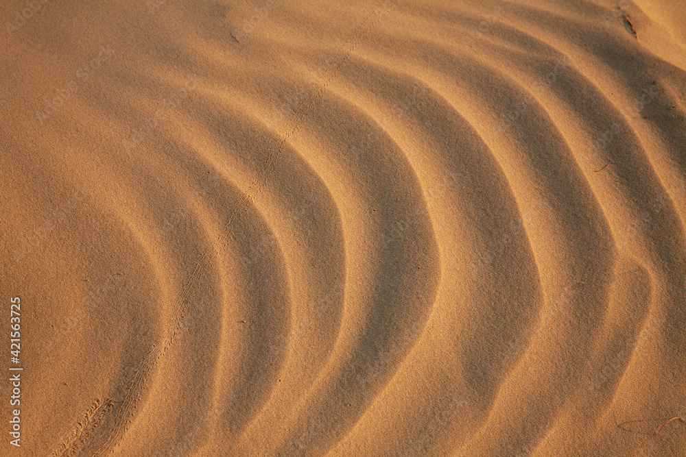 Naklejka premium Wind ripples in the sand