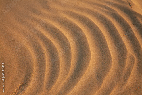 Wind ripples in the sand