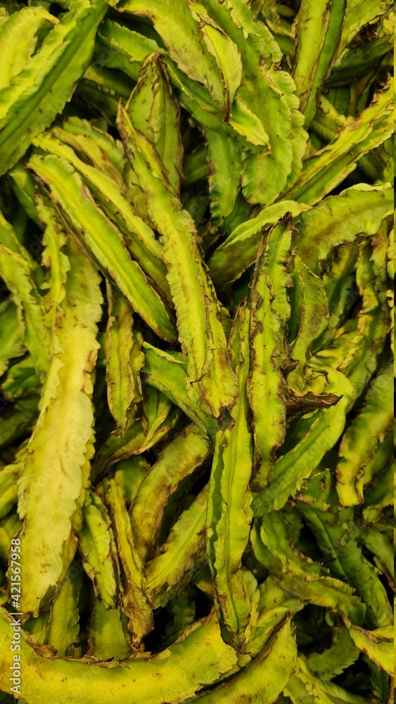 Fototapeta premium winged bean in green color in market