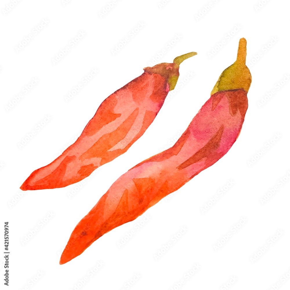 Red Hot Chili Peppers 唐辛子の水彩イラスト 薬味 カットイラスト Illustration Stock Adobe Stock