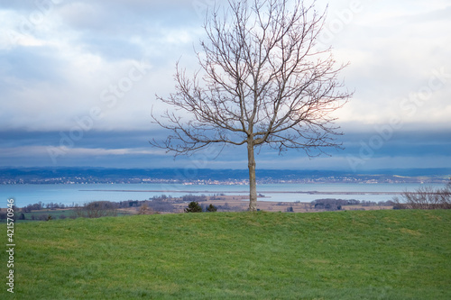 View over lake Constance. Switzerland, on a winter afternoon without snow photo