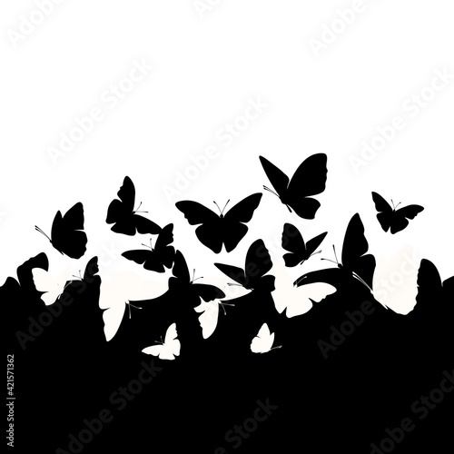 Flying butterfly vector card. stock illustration. Abstract, Animal Body Part, Art, Awe, Backgrounds