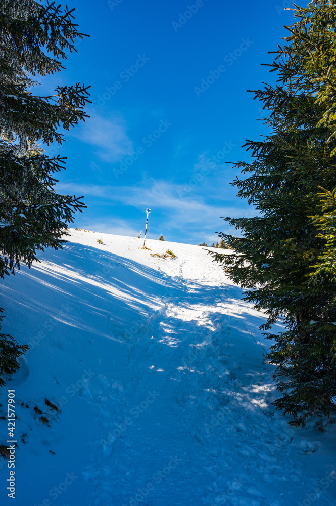 Hiking trail in snowy Bucegi mountain range in Romania