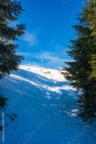 Obraz na płótnie Hiking trail in snowy Bucegi mountain range in Romania w salonie