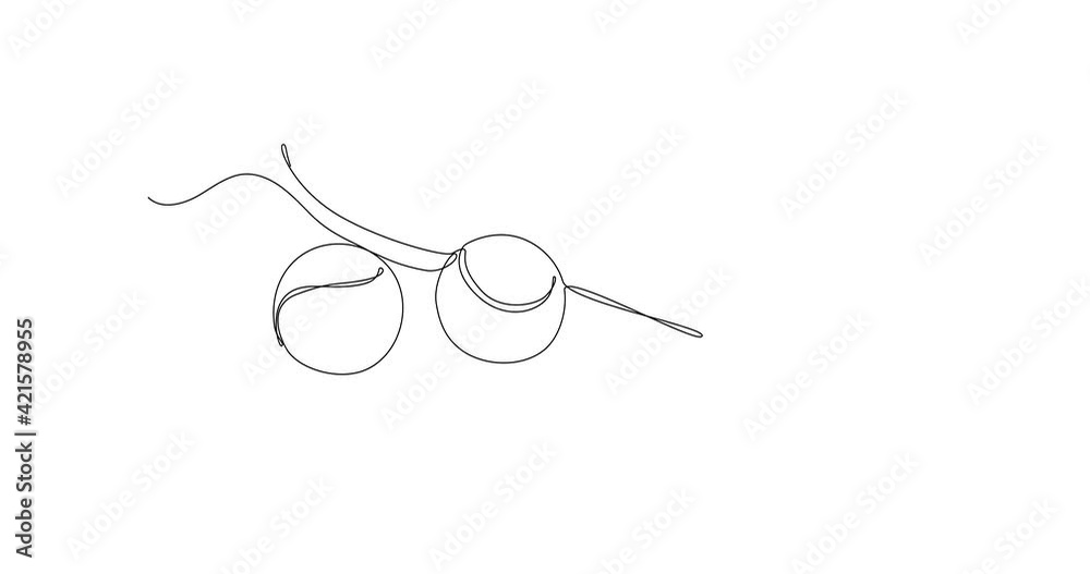 Self drawing animation of continuous line drawing of tennis racket hands with two balls. Tennis sport symbols objects concept. Black line on white background Self drawing animation of continuous line drawing of tennis racket hands with two balls. Tennis sport symbols objects concept. Black line on white background
