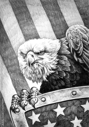 Pencil drawing of a bald eagle with a shield with a flag in the background