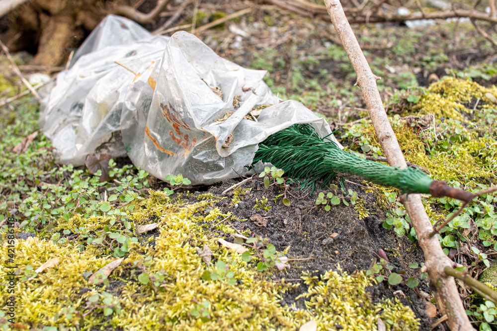 old plastic Christmas tree illegal dumped into the forest, garbage, fly