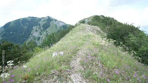 hiking, trekking, top, mount accellica, climbing, picentini, picentini natural park, giffoni valle piana, campania, salerno, italy, italian, mountain, landscape, nature, sky, mountains, green, forest, photo