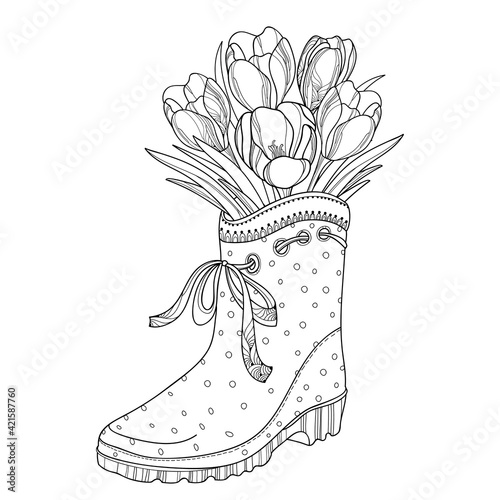 Spring bouquet with outline crocus or saffron flower and leaves in the rubber boot in black isolated on white background.