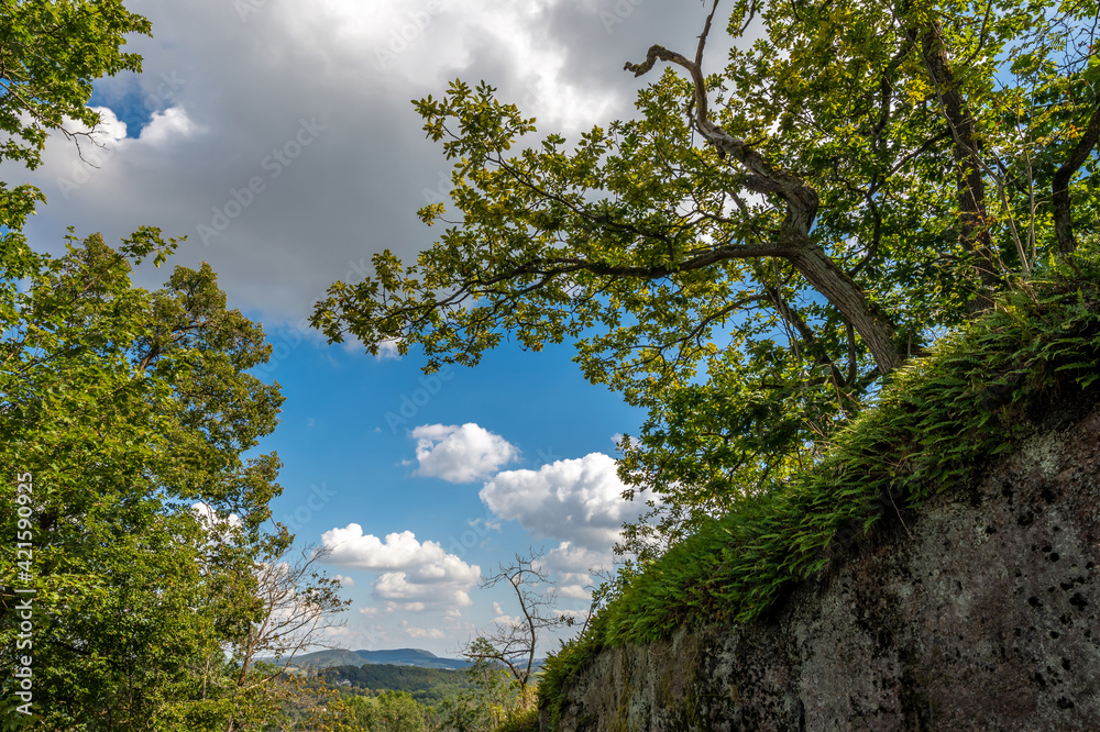 Obraz premium Beautiful Eisenach