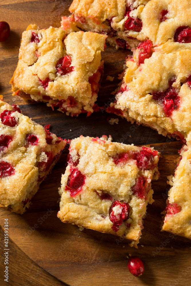 Homemade Cranberry Coffee Cake Homemade Cranberry Coffee Cake