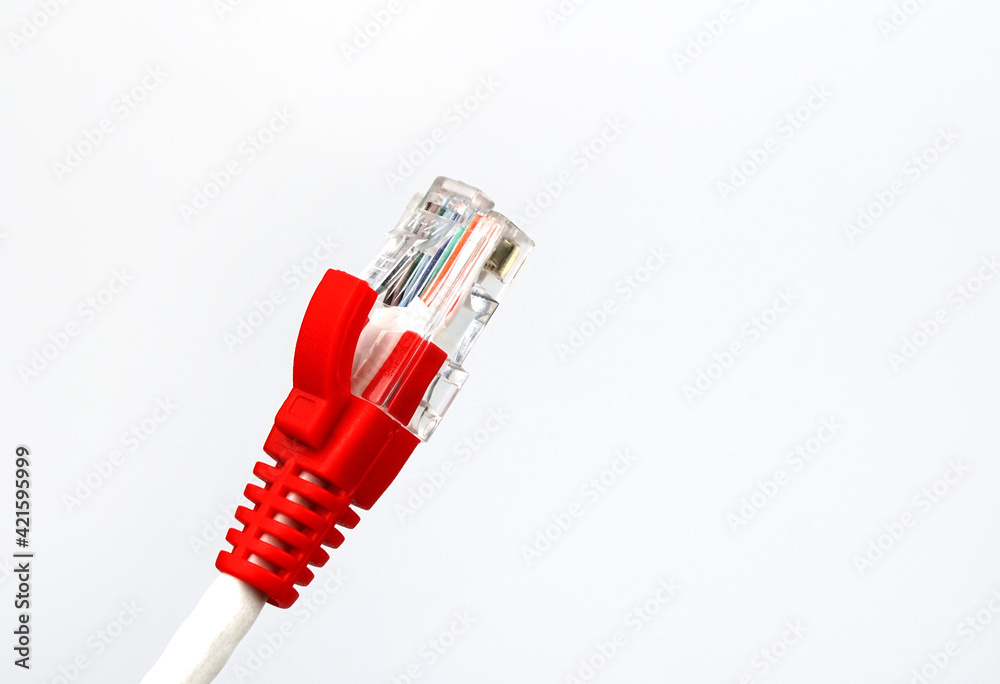 LAN network connection Ethernet RJ45 cabl on white background. LAN network connection Ethernet RJ45 cabl on white background.
