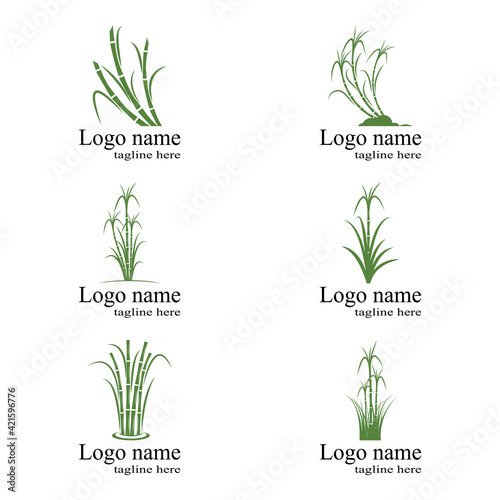 Sugar cane Logo Template vector symbol nature