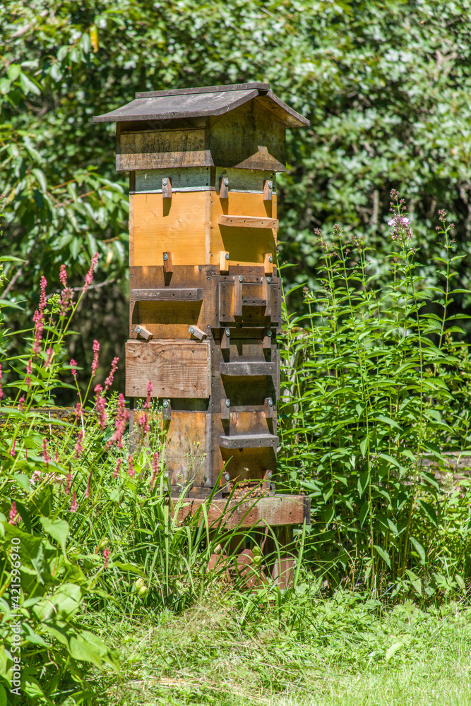 Snoqualmie, Washington State, USA. A Warre hive is a vertical top bar hive that uses bars instead of frames, usually with a wooden wedge or guide on the bars from which the bees build their own comb. Snoqualmie, Washington State, USA. A Warre hive is a vertical top bar hive that uses bars instead of frames, usually with a wooden wedge or guide on the bars from which the bees build their own comb.