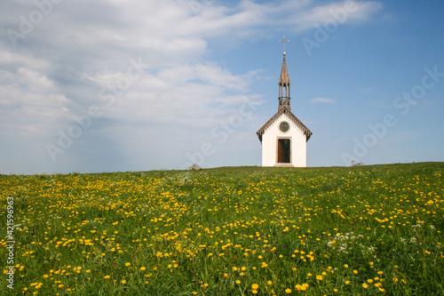 petite chapelle dans les Vosges au milieu d'une prairie fleurie au printemps
