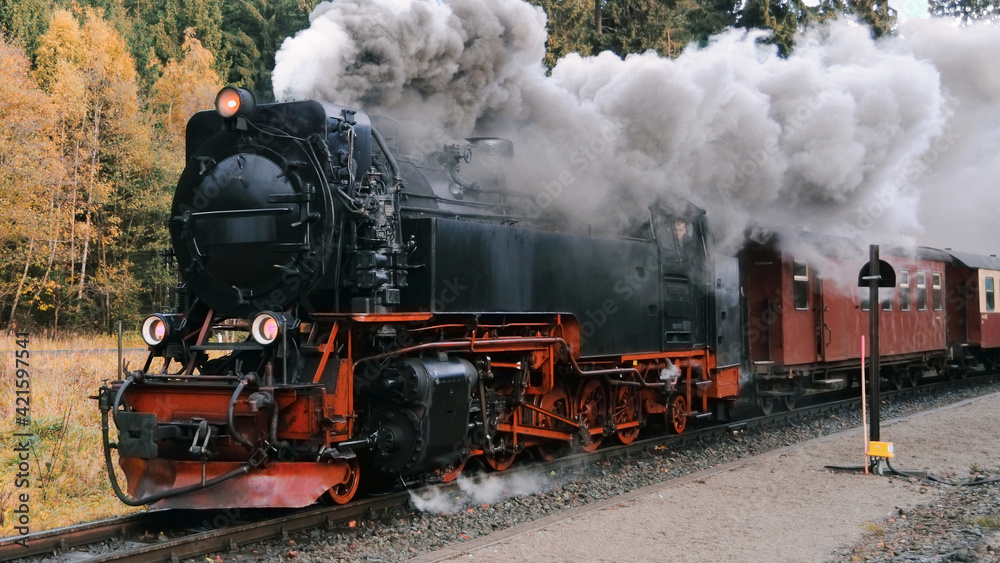 Naklejka premium Harz Narrow Gauge Steam Train in clouds of smoke, Germany