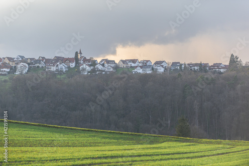 Feld mit gr  ner Fr  hsaat vor Panorama einer Ortschaft