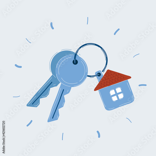 Vector illustration of keys of dream house on white.