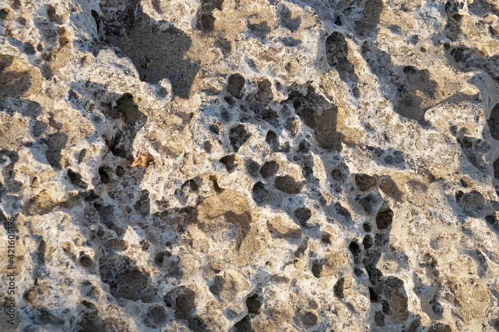 stone shell rock close-up texture for stone background stone shell rock close-up texture for stone background