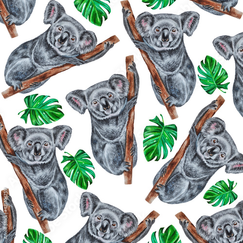 Photography Watercolor pattern of koalas sitting on a branch and tropical leaves