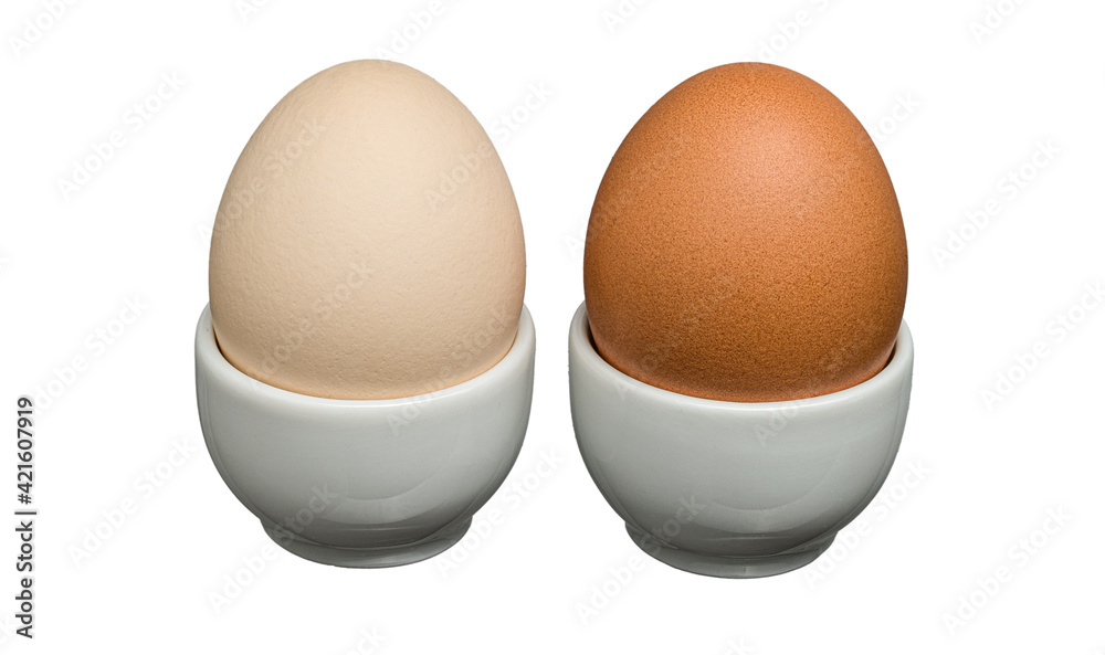 two eggs in egg trays on a white background two eggs in egg trays on a white background