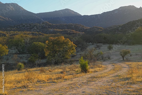 horizon and mountains in mount and desert ejido Tonibabi in Sierra La Madera, municipality of Moctezuma, Sonora, Mexico ... forest, land, desert photo