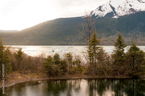 Evergreen trees growing by a kettle pond next to Mendenhall Lake at the base of McGinnis Mountain near Juneau, Alaska photo