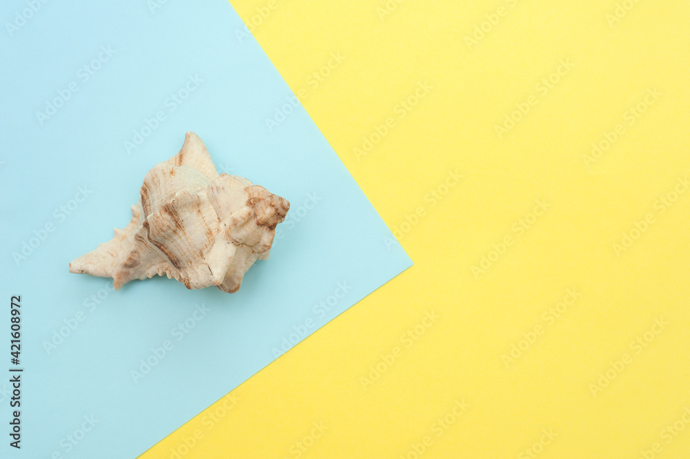 Seashell on a blue and yellow background. Place for text Seashell on a blue and yellow background. Place for text