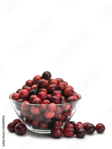 Glass vase filled with large berries of cranberry