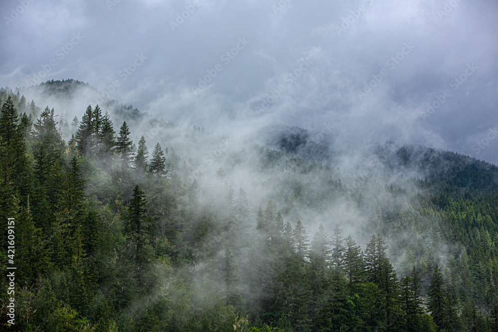 North Cascades Mountains, foggy mountain.