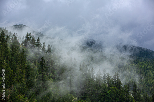 North Cascades Mountains  foggy mountain.