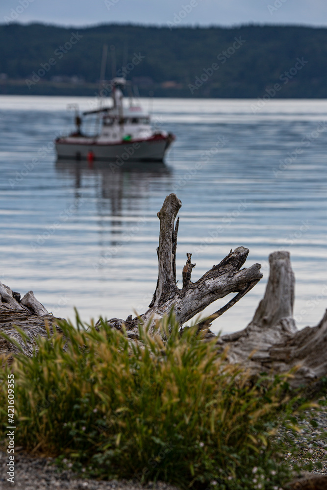 Shine Tidelands State Park, Washington State, beach, driftwood, fishing boat