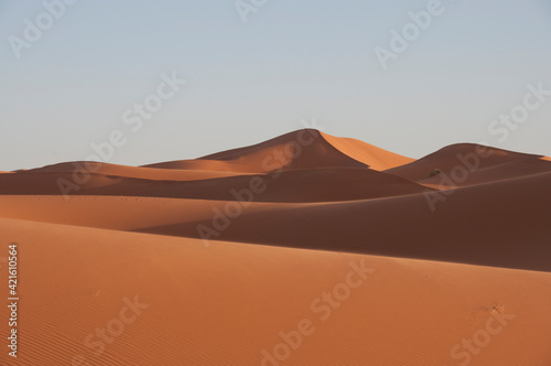 Dunas en el Desierto del Sahara. Marruecos