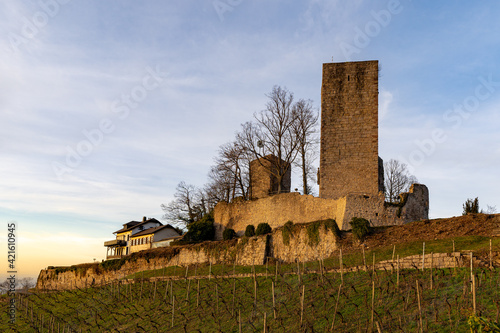 Closeup shot of Windeck Castle ruins in the Black Forest, Germany photo