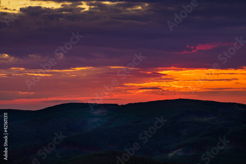 late sunset in forrest © Frantisek