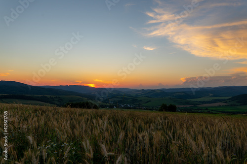 sunset over the field