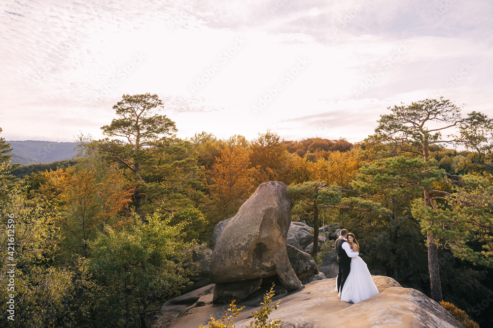 Fototapeta premium wedding couple in love newlyweds in a white dress and suit are walking on the mountain against the backdrop of a beautiful landscape.