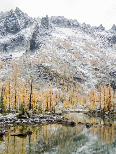 USA, Washington State. Alpine Lakes Wilderness, Enchantment Lakes, Leprechaun Lake, with McClellan Peak and Larch trees