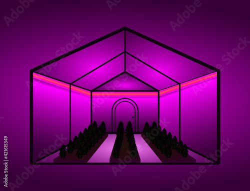 cannabis marijuana ganja farm use greenhouse and uv light plant