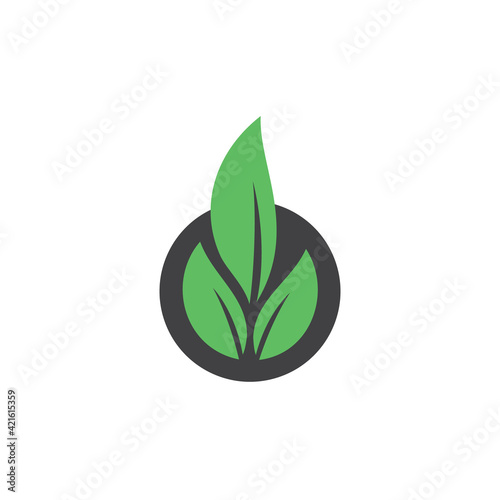 Plant and leaves icon. Leaf symbol of ecology, enviroment and nature. Vegetarian and vegan pictogram design.