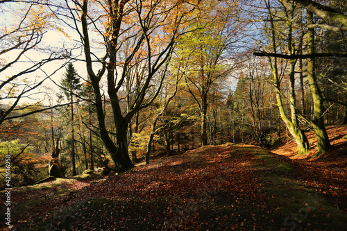 The warm colors of autumn in Scotland