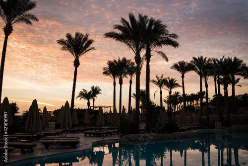 Palm trees at sunrise. Morning at the resort. Beautiful sunrise. Palm trees and pool. Reflection in water