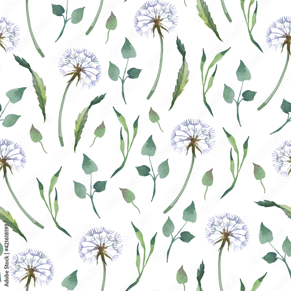 Watercolor seamless pattern. Blowball with leaves on white background.