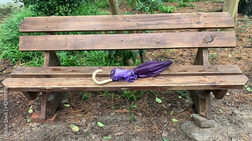 Konstfotografi paraguas violeta olvidado en banco en el medio del bosque -  forgotten violet um
