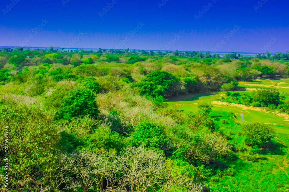 landscape with green field