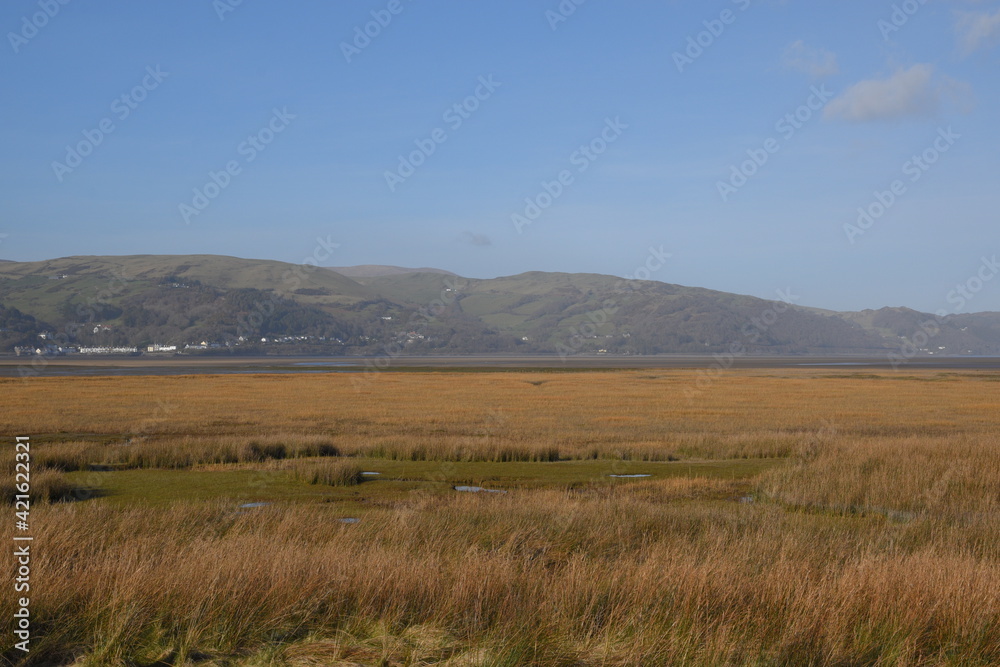 a view of ynyslas beach where the dyfi meets the see and where the cars usually park during the busy summers