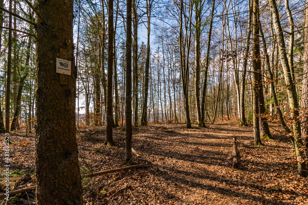 Spring hike in the Danube Valley near Sigmaringen Spring hike in the Danube Valley near Sigmaringen