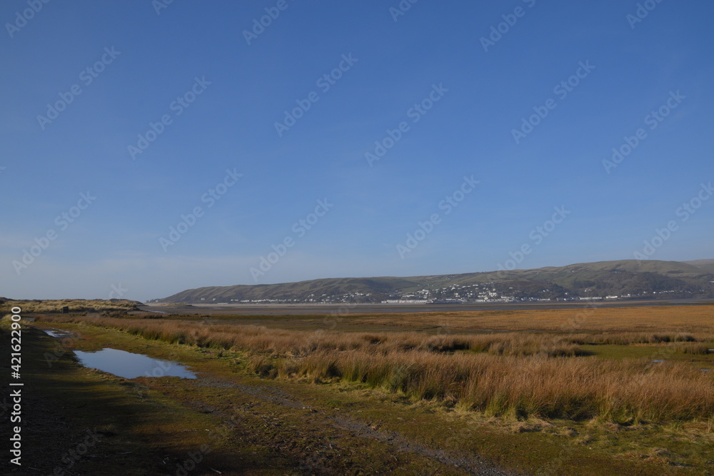 the grasslands of a nature reserve at the end of an estuary with a small flooded track that goes though it for ranger to keep the land preserved 