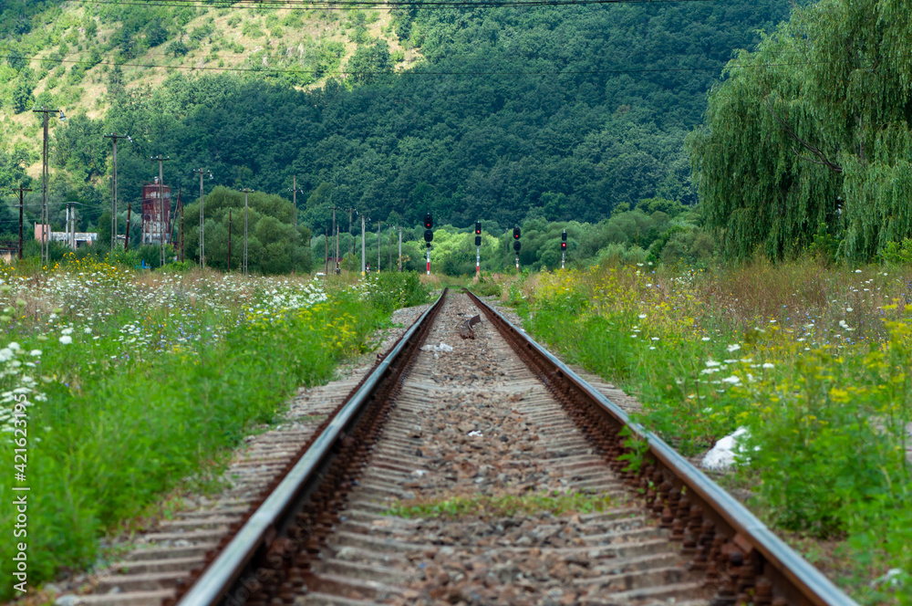 A view of an old railroad. Railway signals. A mountain and a forest in the background.